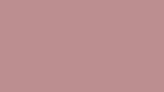 Rosy Brown Screen 5 Hours – Soft Warm Color in 4K UHD