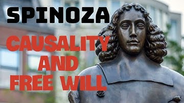 Causality and Free Will by Spinoza #spinoza #freewill  #godofspinoza #religion 