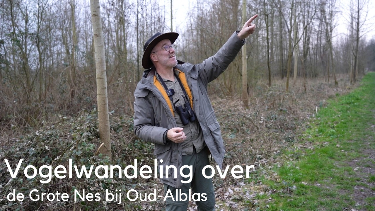 Vogelwandeling over de Grote Nes bij Oud-Alblas 1743