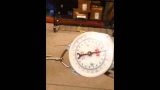 Litey Leash Strength Test