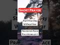 Prayer for Peace of Mind | Short Prayer 🙏 1 Peter 5:7  #bibleverse #peace  #trustgod