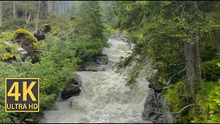 Forest Waterfall Nature Walk 4K (With Ambient Nature Sounds And Music)