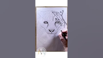 Snow Leopard 🐆 #howtodraw #snowleopard #drawing #snowleopards #speeddrawing #drawinglessons #draw