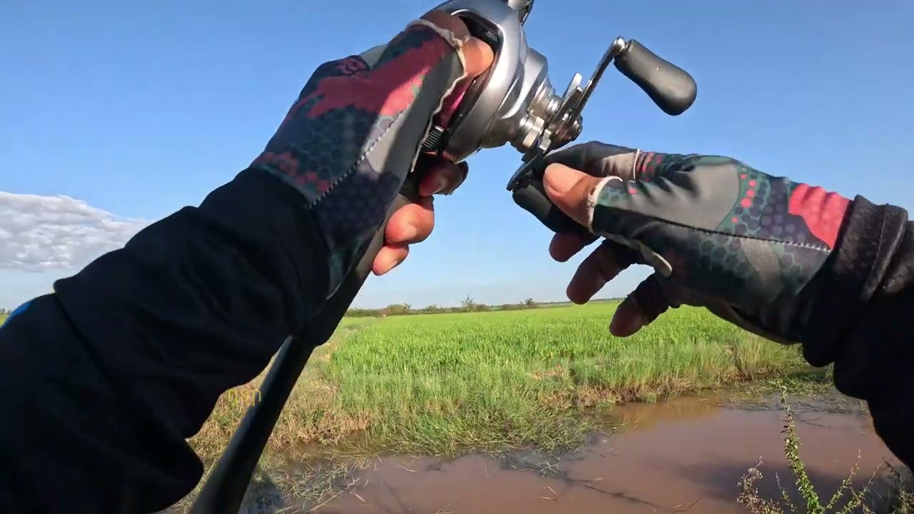 ជីវិត ចុងម៉ោងក៏មកដែរ 