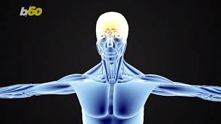 chronic pain sufferers could be ignoring their best option for relief