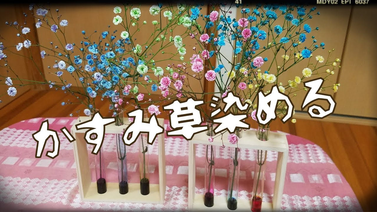 かすみ草 を 着色 する ハンドメイド アクセサリーに Youtube