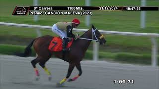 Vidéo de la course PMU PRIX CANCION MALEVA