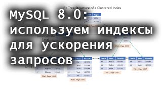 : MySQL 8.0:     
