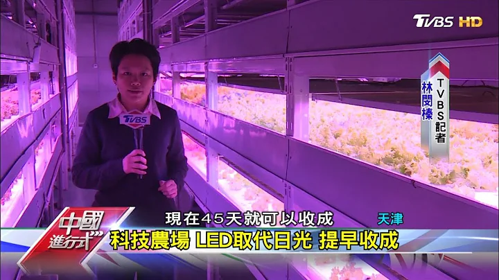 陸養生年輕化 台商的無毒科技菜園 中國進行式 20191117 - 天天要聞