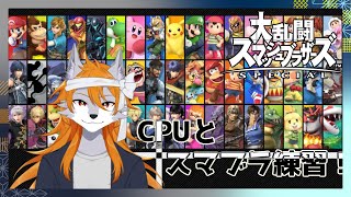 再び強くなるため練習を！#1【スマブラSP】