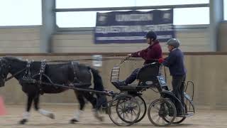 Follow my Introduction to the World of Carriage Driving.