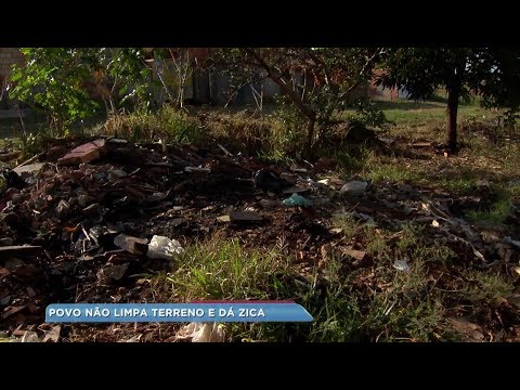 entretenimento para casamento Prefeitura de Bauru fiscaliza, mas falta de conscientização dos donos de terrenos ainda preocupa