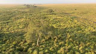 Soaring Above the Serengeti: Hot Air Ballon Safari in Tanzania