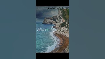 #القرآن سورة القيامه القارئ/ ياسر الدوسري من الآيه ١ الى الآيه ٥
