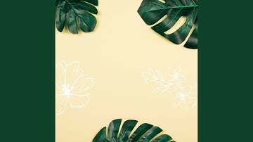 Subtle Moods for Amusing Spaces