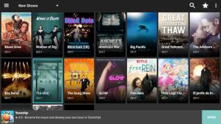 Install Terrarium TV and MX Player APKs from within Kodi - Kodi alternative /backup app screenshot 2