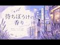 【オリジナルAI曲】【待ちぼうけの香り】 花言葉をテーマにした癒しのJ-POP|6月の花の歌
