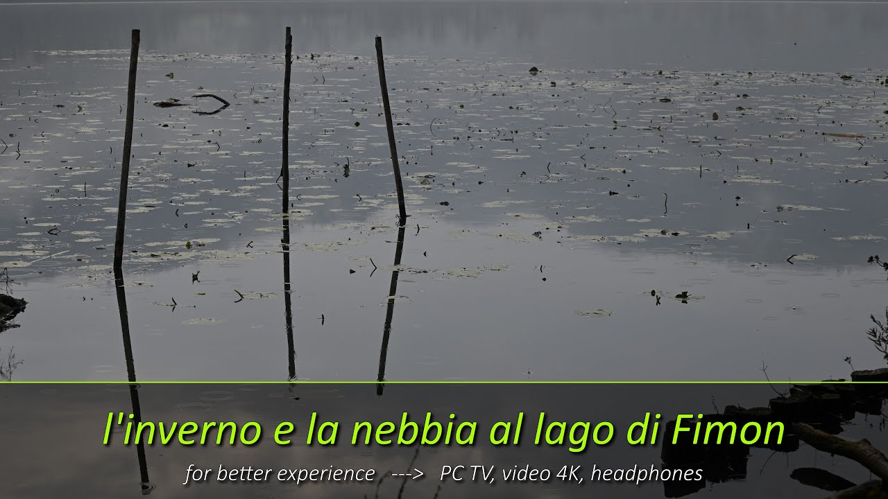 L'inverno e la nebbia al lago di Fimon, valli di Fimon di Arcugnano - Colli Berici, Vicenza