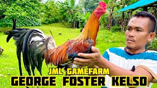 GEORGE FOSTER KELSO - JML GAMEFARM