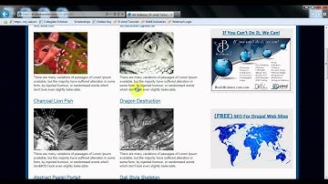 Free Tutorials, Set up, Install, Configure Drupal Commerce For All Store Needs
