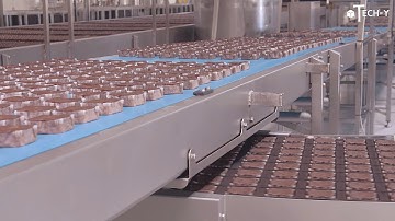 Automatic Cake Processing Machines Inside The Cake Factory - brownie cake production | techy