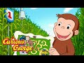 George's Amazing Maze Race! 🐵 Curious George 🐵 Kids Cartoon 🐵 Kids Movies Mp3 Song