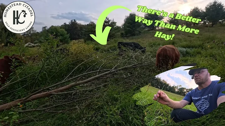 Drought Solutions Most Farmers DON'T Know About - Plan NOW!