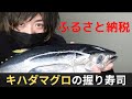 キハダマグロを解体して寿司にする【ブリーフ千葉のガバガバおまかせ100貫/47貫目】