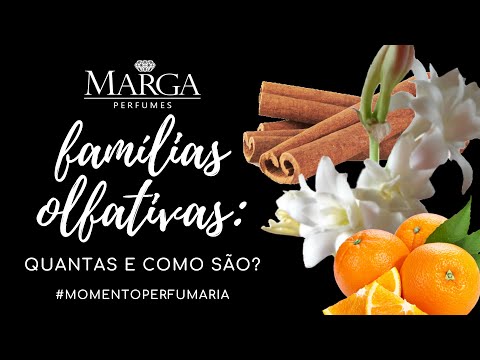 FAMÍLIAS OLFATIVAS: UM POUCO SOBRE CADA UMA! - Momento Perfumaria | Lya Boeira