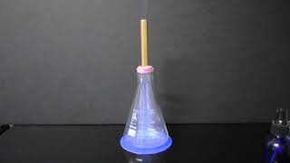 Famous Erlenmeyer Flask Jam Jar Jet Snorkeler Net Worth