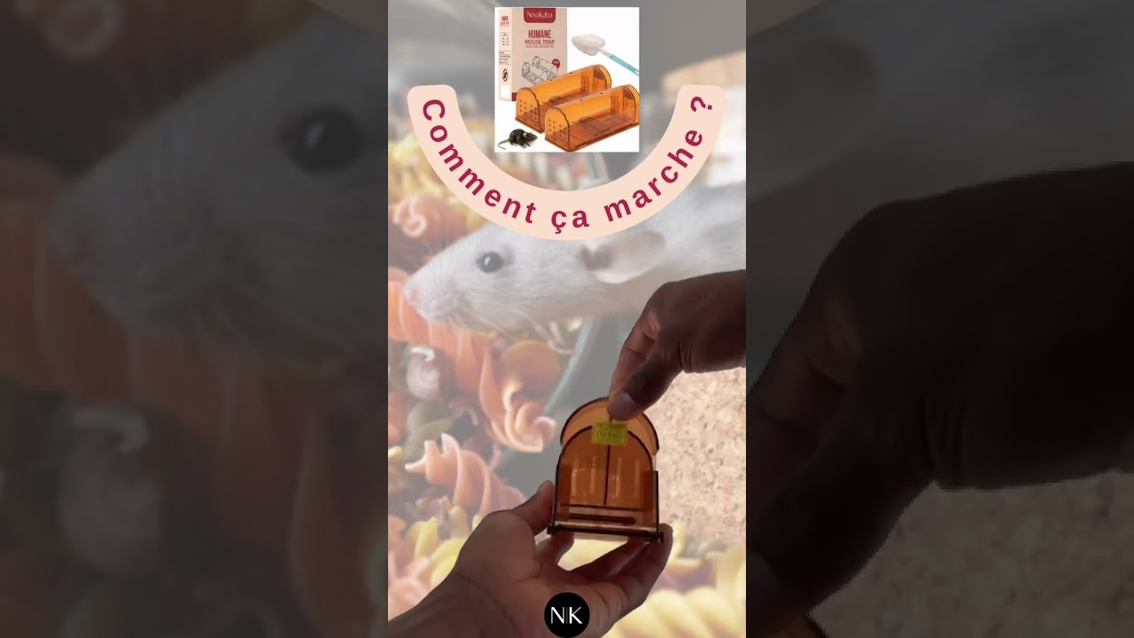 Utilisation facile 🐁🪤