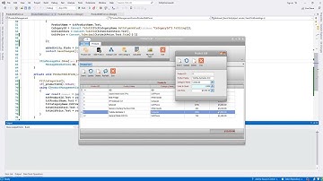 6.) C# Entity Framework in DevExpress UI Part IV