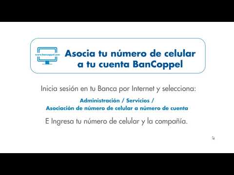 'Todo sobre la