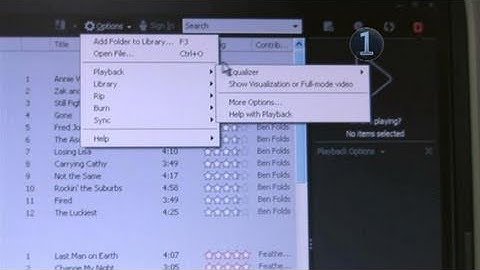 How To Customize Your Zune Software