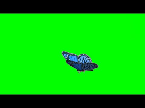 Green Screen Blue