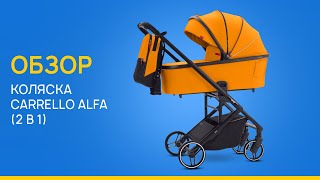 Обзор коляски Carrello Alfa (2 в 1) / LEMI KIDS - Магазин детства