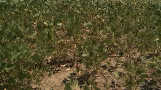 Climate Change in Nebraska - Don Wilhite - October 3, 2014 screenshot 4