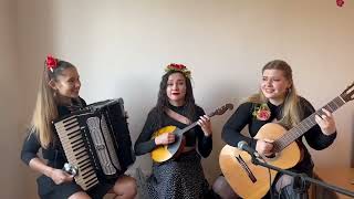 habibi Ya Nour El Ein Accordion Domra Guitar accordion habibi amr diab arabic