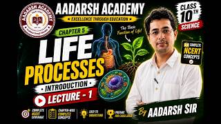 Life Processes Class 10 Biology: Master It in One Video! 🚀