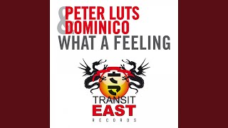 What a Feeling (The Hitmen Remix)