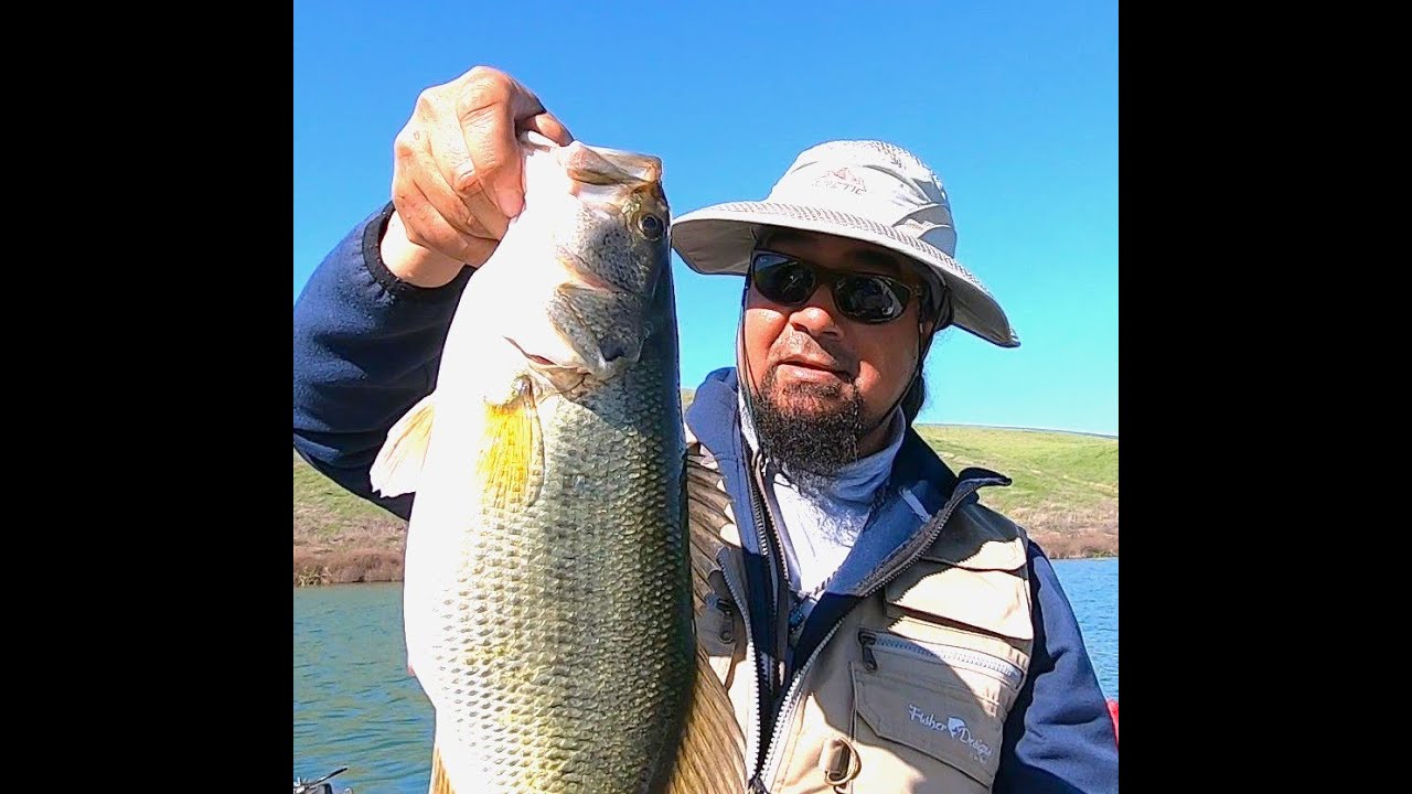 18″+ BIG LARGEMOUTH BASS REALEASED FISHING LOS VAQUEROS BONUS FISH SPRING FEVER CATCH A BIG ONE !!!