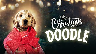 The Christmas Doodle [2021] Full Movie | Ashley Wright, David Wright, Cadence Wright