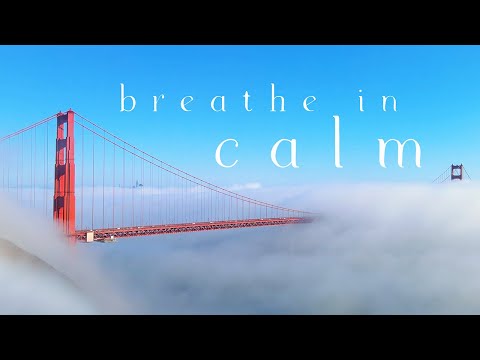 Above The Clouds Golden Gate Bridge Drone x Fog In 4K