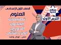 🔹 تصنيفات الجدول الدوري – الجزء الثاني 🧪 | شرح مبسط وسهل – علوم الصف الأول الإعدادي مع مس نوران وليد