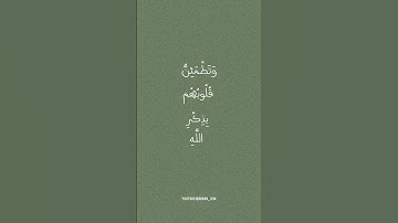 الَّذِينَ آمَنُوا وَتَطْمَئِنُّ قُلُوبُهُم بِذِكْرِ اللَّهِ  سورة الرعد  القارئ اسلام صبحي #قرآن