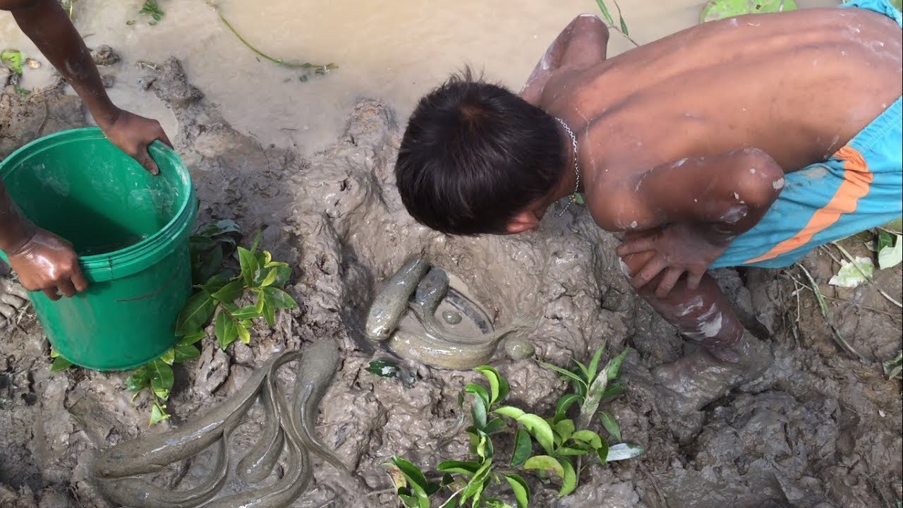 Amazing deep hole trap for fish catching by two boys in Cambodia - how to make simple deep hole trap