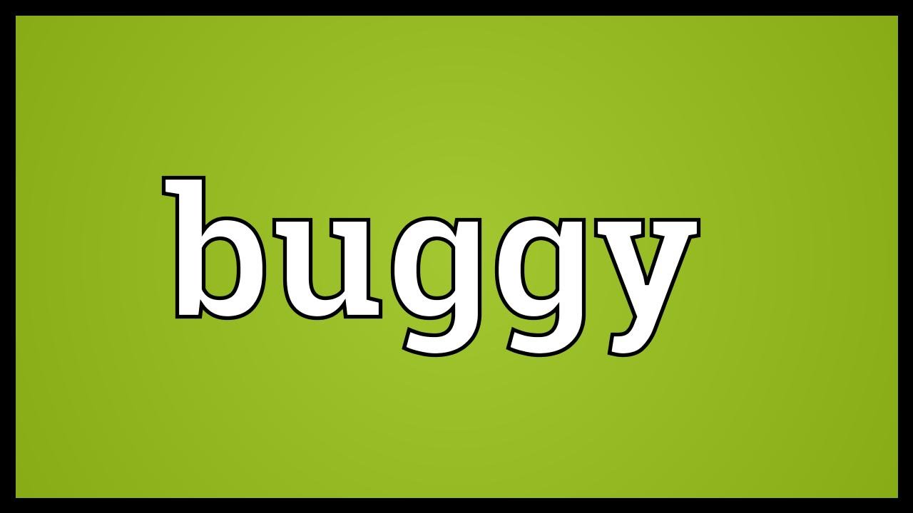 meaning buggy