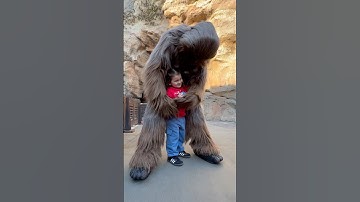 Chewbacca Gives the Warmest Hugs Ever!