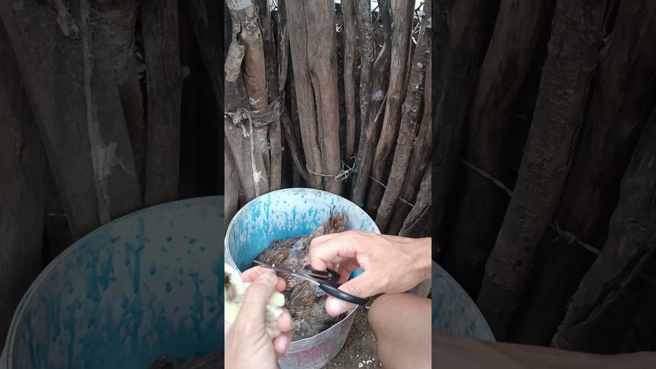 A marcação do dedinho do pinto como fazer?? 