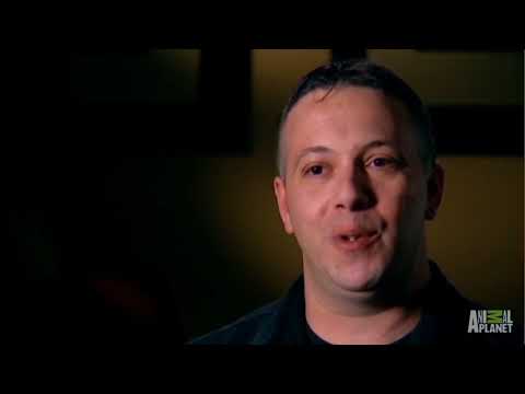 ფაროსანასთან ბრძოლის მეთოდი